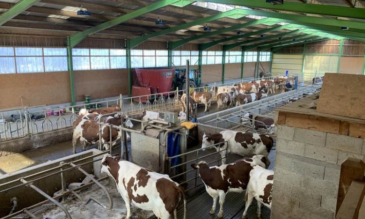 La ferme de Reculefort La Tour-du-Pin - Vente de produits issus de la ferme directement